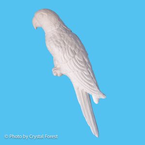 Bird 037 A