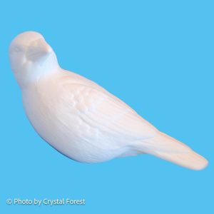 Bird 044