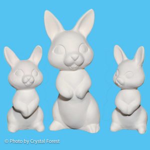 Bunny 062 Set
