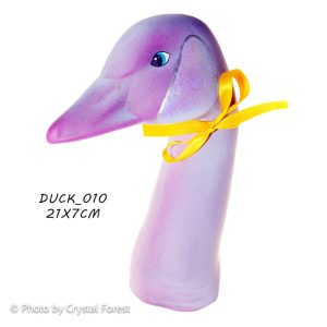 Duck 010