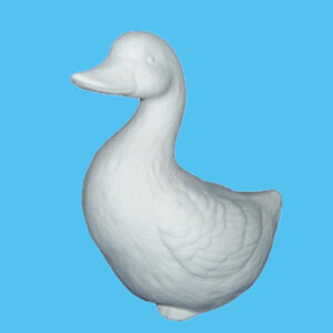 Duck 016