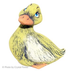 Duck 021