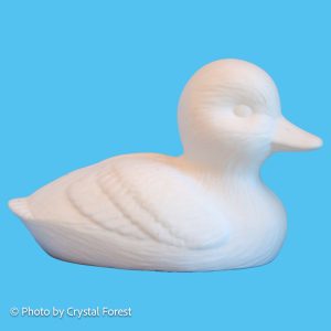 Duck 029