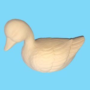 Duck 038