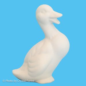 Duck 043