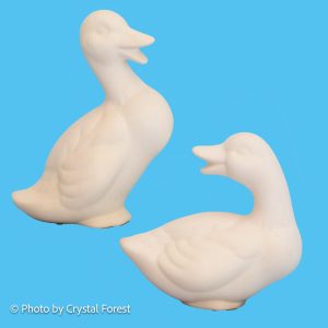 Duck 050 Set