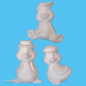 Duck 054 Set