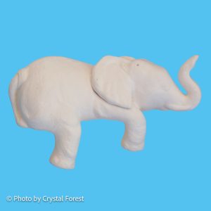 Elephant 006