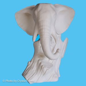 Elephant 016