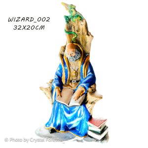 Wizard 002 Painted