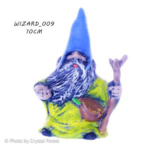 Wizard 009