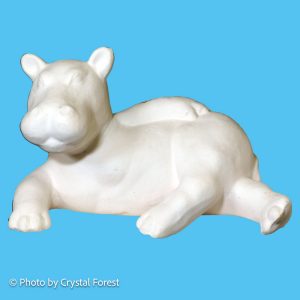 Hippo 001