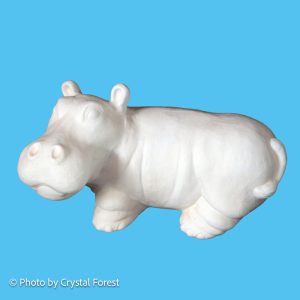 Hippo 004