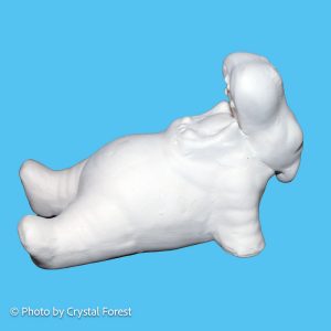 Hippo 006