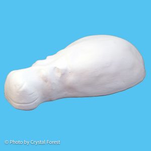 Hippo 009