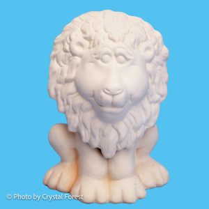 Lion 003