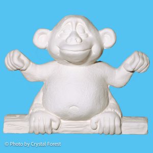 Monkey 003