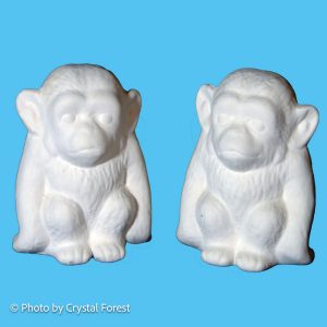 Monkey 004 Set