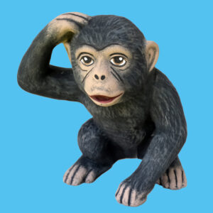 Monkey 007