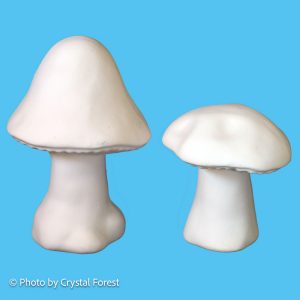 Mushroom 022 Set