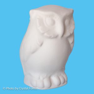 Owl 014