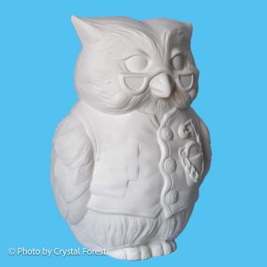 Owl 017