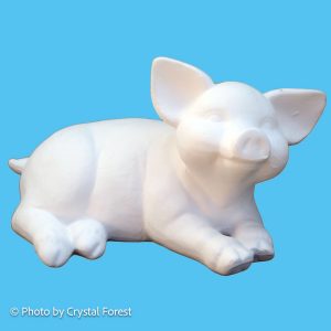 Pig 014