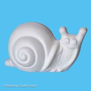 Snail 008