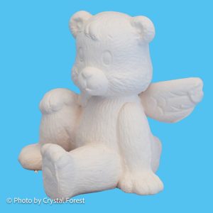 Teddy 026