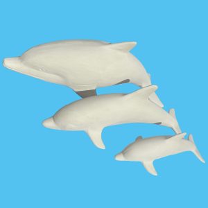 Dolphin 001 Set