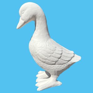Duck 011