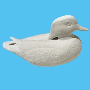 Duck 025