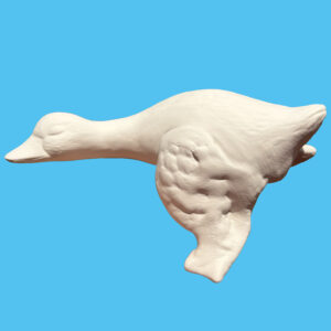 Duck 036
