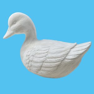 Duck 044