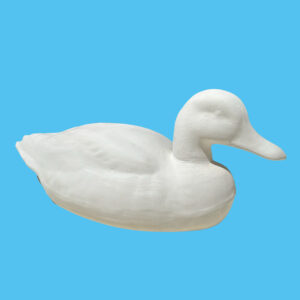 Duck 046