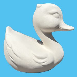 Duck 052