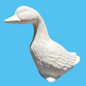 Duck 053