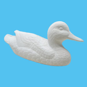 Duck 063