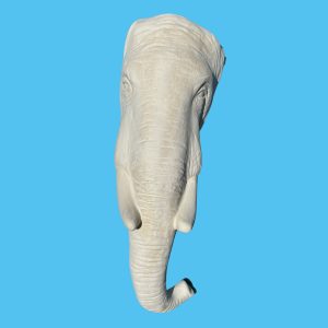 Elephant 014