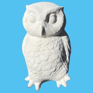 Owl 003