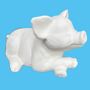 Pig 023