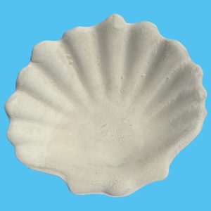 Shell 010