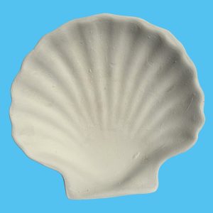 Shell 011