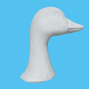 Duck 018