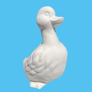 Duck 031