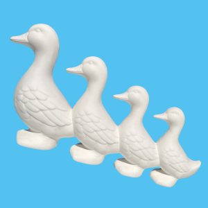Duck 045