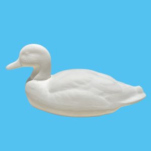 Duck 055