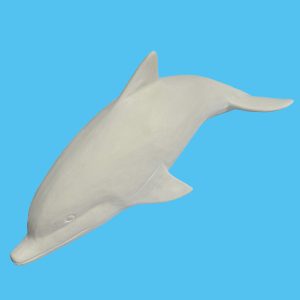 Dolphin 002