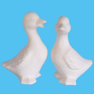Duck 007 Set
