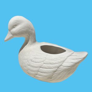 Duck 002
